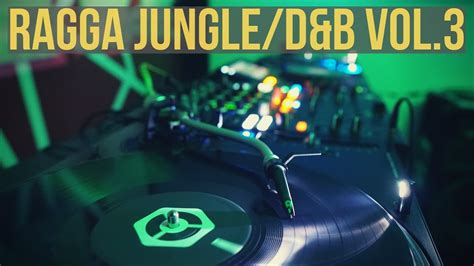 Ragga Jungledrum And Bass Mix Vol3 2019 Youtube