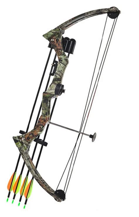 Traditional Youth Compound Bow And Arrow For Shooting Practice Buy