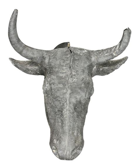We did not find results for: French Zinc Bulls Head Wall Mount For Sale at 1stdibs