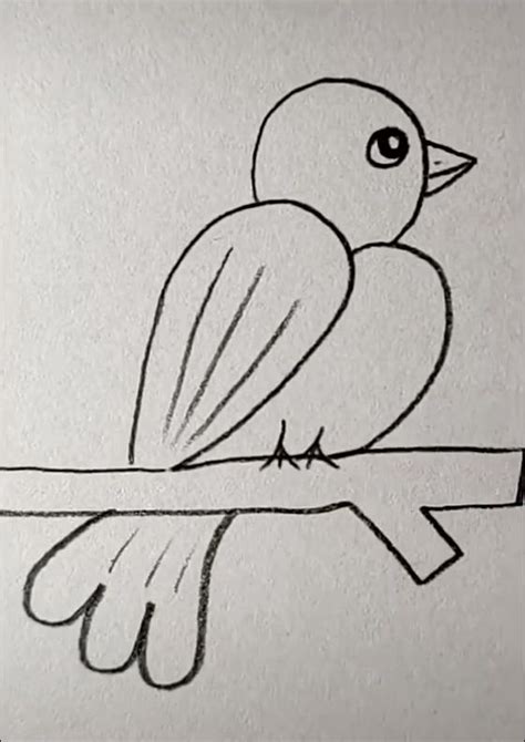 Bird Simple Drawing Kidsdarelo