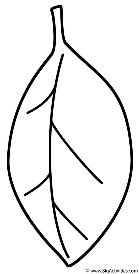 Printable Palm Leaf Coloring Page Palm Leaf Coloring Page At Getcolorings Com Free For