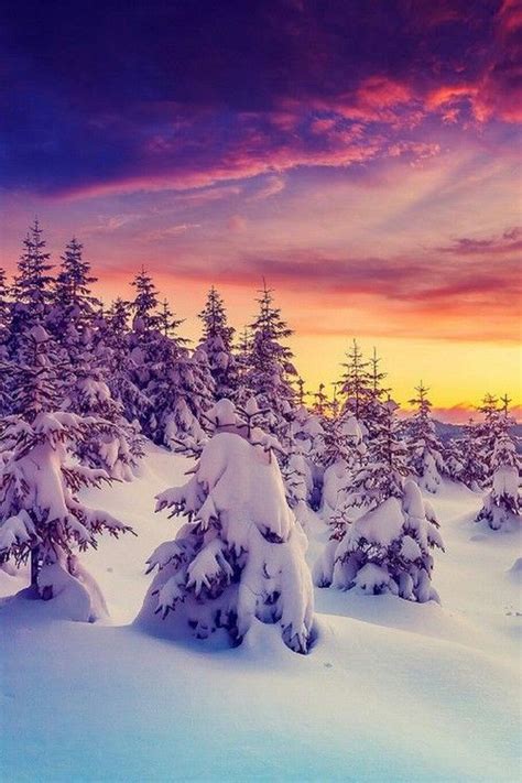 31 Best Winter Sunsets Images On Pinterest Winter Sunset