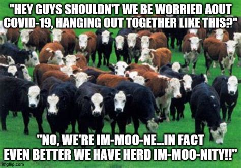 Herd Immoonity Imgflip