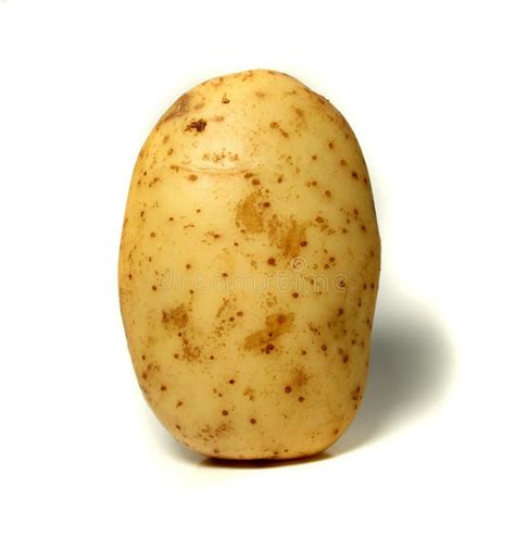 Potato Stock Photo Image Of Cooking White Potato Background