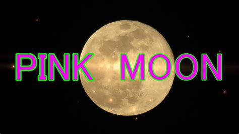 Pink Moon Youtube
