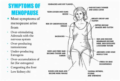 Menopause And How To Rebalance The Hormones Fitneass