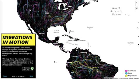 Animated Map Shows Animal And Bird Migrations Geography Realm