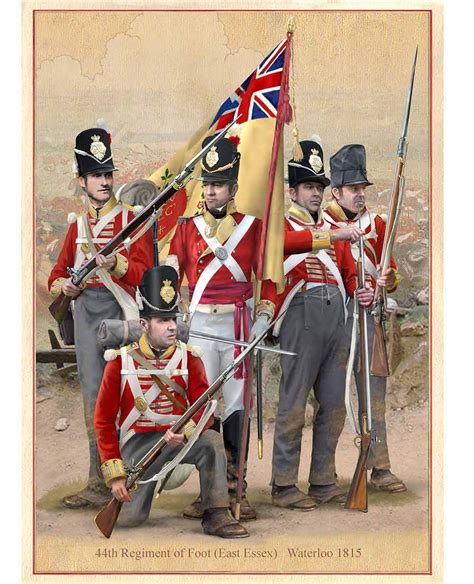 44th Regiment Of Foot East Essex Waterloo 1815