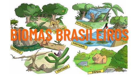 Biomas Brasileiros Youtube