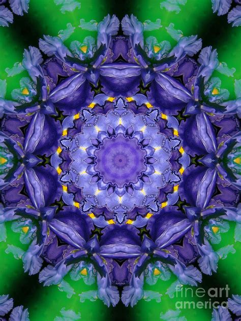 Iris Kaleidoscope Mixed Media By Roxy Riou Fine Art America