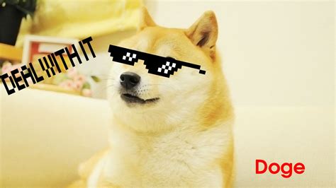 I made a doge wallpaper for all the game of thrones shines no spoilers. 76+ Doge Meme Wallpapers on WallpaperPlay