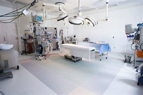 Looking for pest control, termites control or bed bugs control? Infection Control Guidelines in the OR and Anesthesia Work ...
