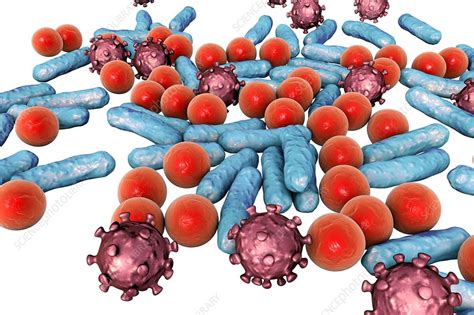 Various Microbes Illustration Stock Image F0168799 Science