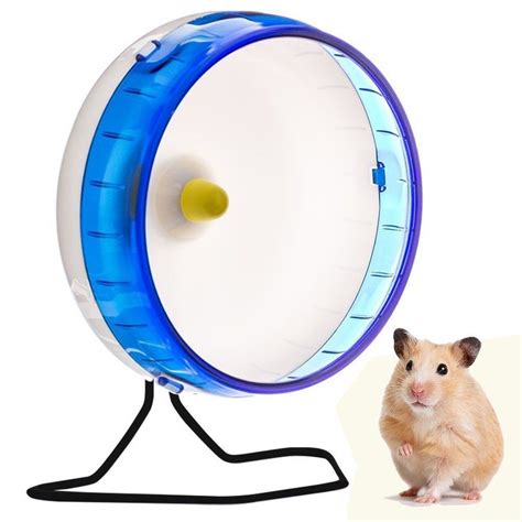 Sikantispets Why Do Hamsters Need Hamster Wheels Do You Know The