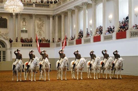 Lipizzan Horses Of The Spanish Riding School Vienna Grander Technology