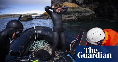 Into The Blue Free Diving In Antarctica In Pictures Sport The Guardian