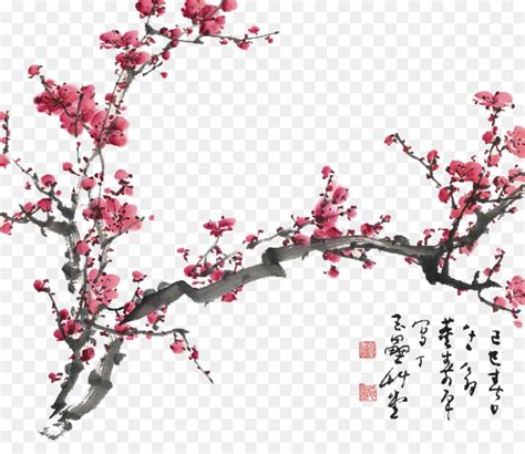 Chinese Cherry Blossom Drawing At Getdrawings Free Download