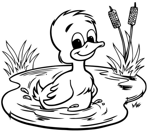 Dessins Gratuits à Colorier Coloriage Canards à Imprimer