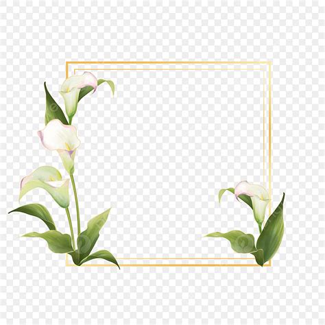 Calla Lily Png Vector Psd And Clipart With Transparent Background