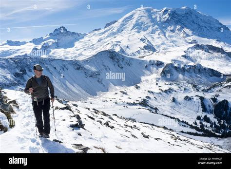 Mount Rainier National Park, Washington: Man hiking along Mount Fremont