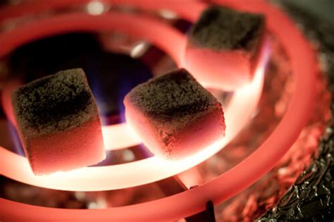 If you really can't find coals intended for hookah you can somewhat get away with using raw hardwood coals for bbq. How to Keep Hookah Coal Burning - Hookah.org