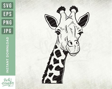 Scrapbooking Svg Files For Silhouette Giraffe Svg Cut Files Giraffe