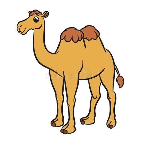 • 1 млн просмотров 1 год назад. Cartoon Illustration Of Cute Camel Stock Vector ...