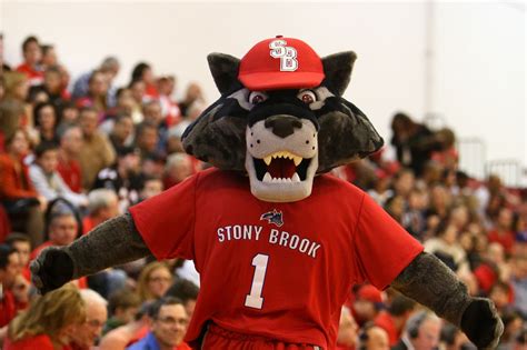 Stony Brook Albany Mascots Fight During America East Championship Game