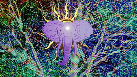 Trippy Elephant Wallpapers Top Free Trippy Elephant Backgrounds