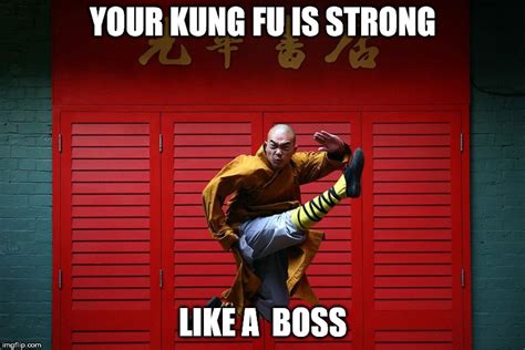 Your Kung Fu Is Strong Memes And S Imgflip
