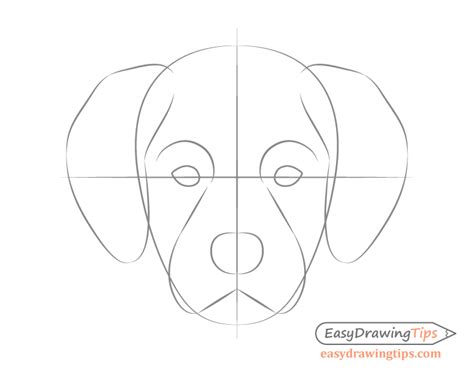 Dog Head Front View Drawing Step By Step Easydrawingtips