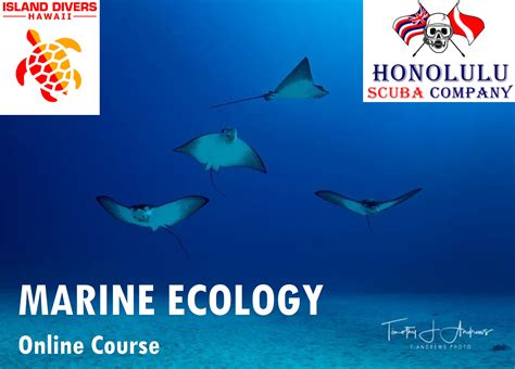 Marine Ecology Course Online Island Divers Hawaii