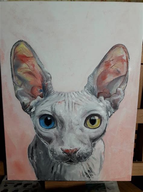 Sphynx Cat Art Painting Sphynx Cat Portrait Different Eyes Etsy