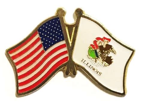 Lapel Pins Illinois State Flag Friendship Pin State Flag Pins