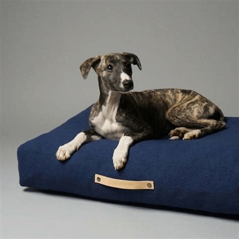 Shop Luxury Dog Bed By Labbvenn In Navy Blue Free Uk Shipping Petsownus