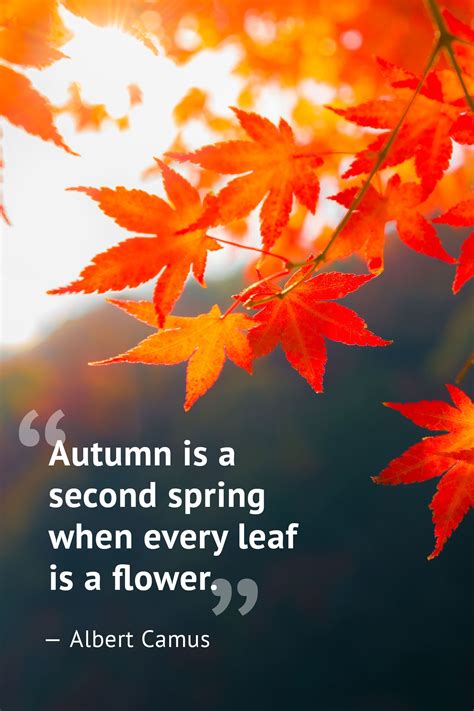 10 Beautiful Fall Quotes To Celebrate The Season Höst Citat Ord Och