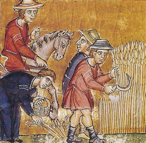 Quiz Taxes et impôts au Moyen Âge - Moyen age