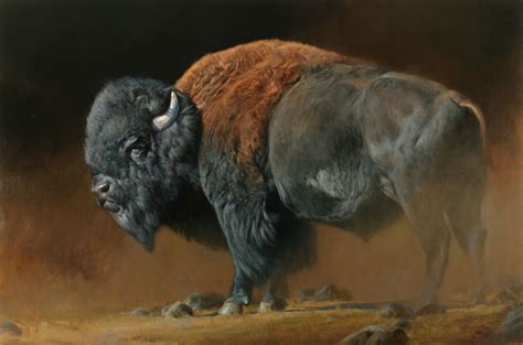 North American Edward Aldrich North American Wildlife Bison Art