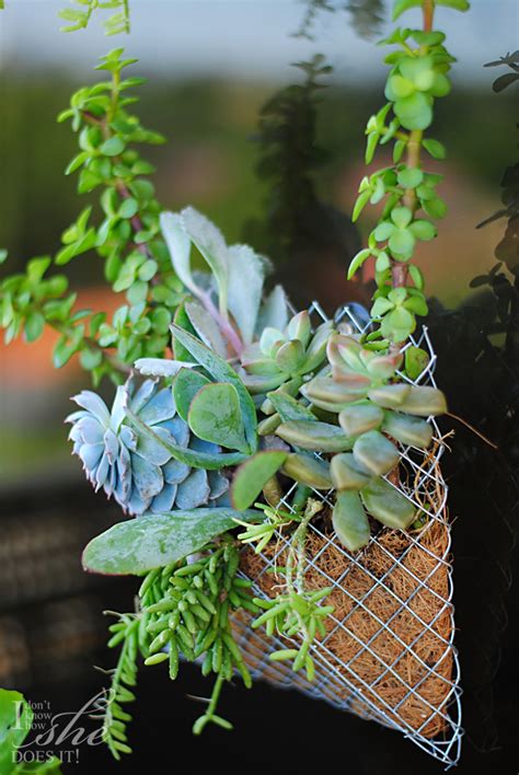Conveniently shipped to your home. 25 DIY Wall Planters Teach You How To Greenify Your Home