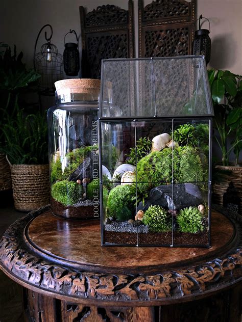 Large Greenhouse Moss Terrarium With Landscape Scene In Etsy Indoor