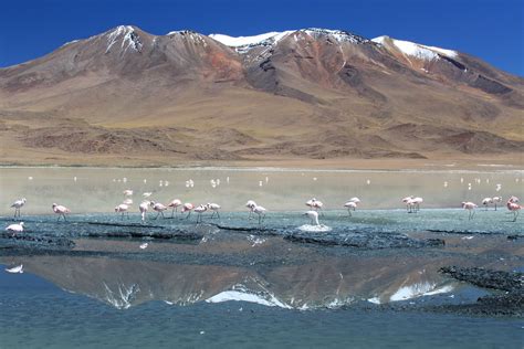 Tupiza Salar De Uyuni Bolivia Day 3 Jonathan Hood Flickr