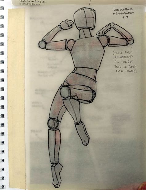 Artstation Explore In Sketch Book Human Anatomy Art Body