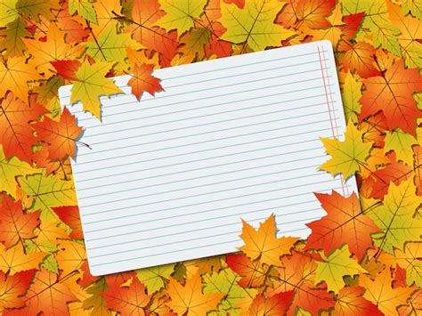 Premium Vector Autumn Leaves Vector Background With Blank Sheet