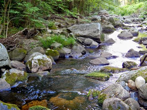 Small Stream Reflections A Little Mountain Stream July 2014