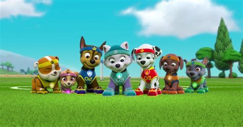Paw Patrol Confirms Its Not Canceled After The White House Claimed