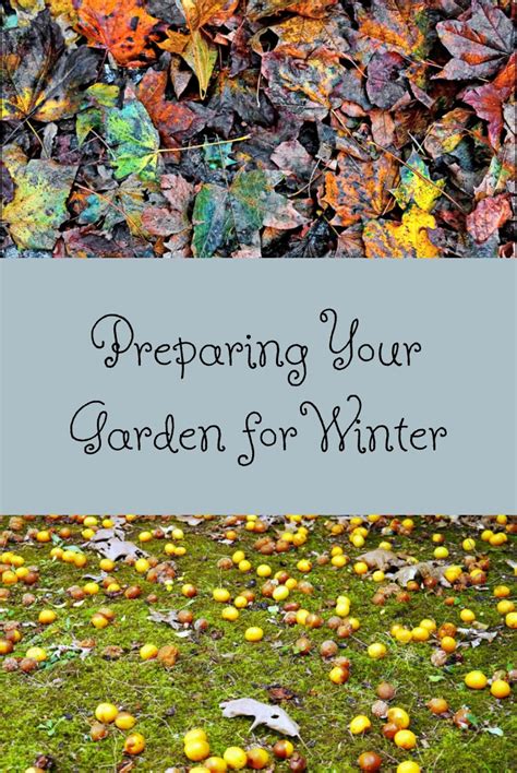 Preparing Your Garden For Winter Western Garden Centers