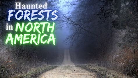 Haunted Forests In North America Youtube