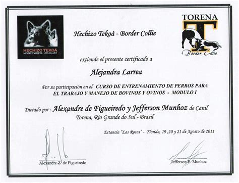 Cimbo Del Sur Certificados Certificates