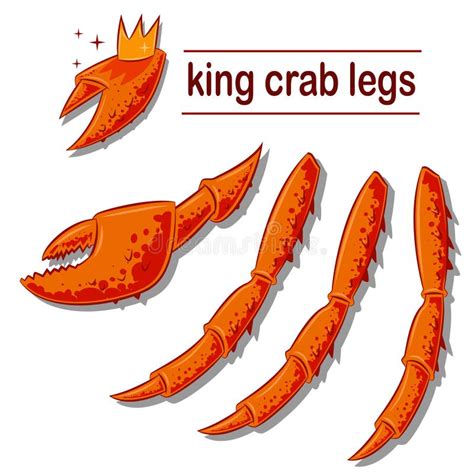 King Crab Legs And Claws Vector Stock Vector Illustration Of Food
