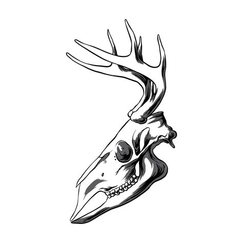 Premium Vector Deer Head Skull Vector Illustration
